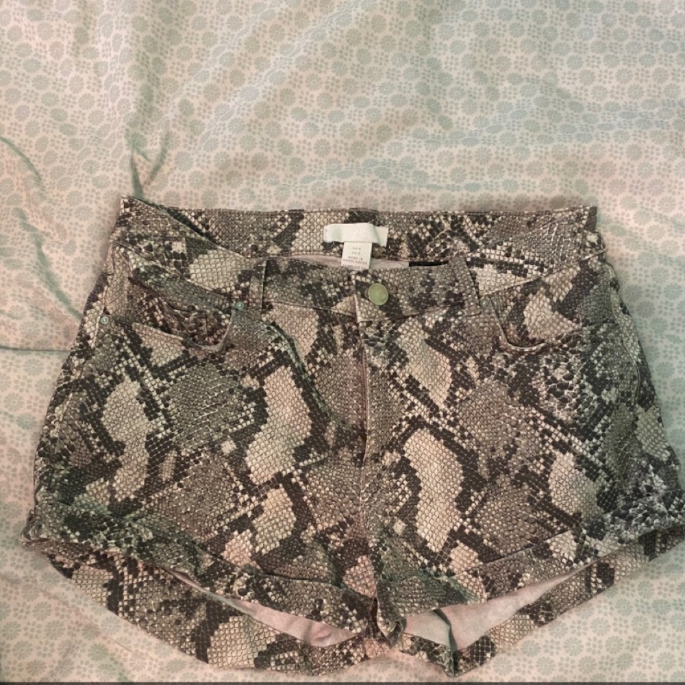H&M Snake Print Shorts. Would be cute with so many outfits! Size 8. - Picture 1 of 1